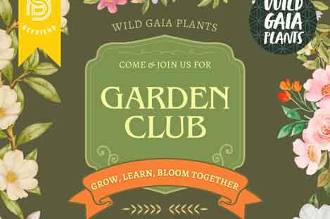 garden club flyer, flowers and leaves along the border 